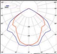  ������ ���� �����